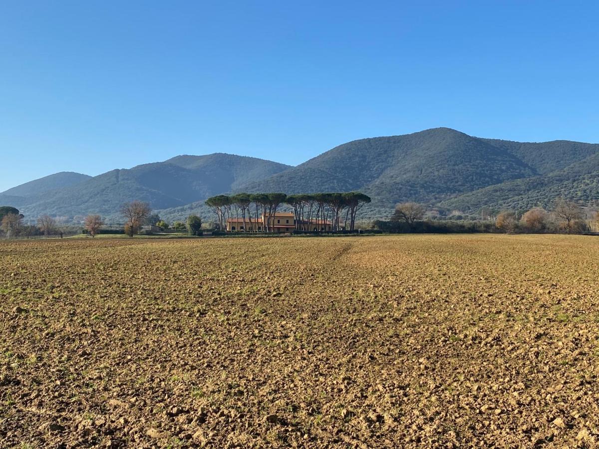 Borgo Bernabei Buriano (Grosseto) Exterior foto